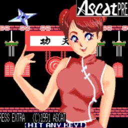 FC功夫，这款30年前的格斗游戏鼻祖，竟然还有一堆恶趣味续作